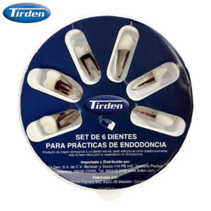 DIENTES P/PRACTICA DE ENDODONCIA 6 PZAS.