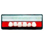 TABLILLA DIENTES INFANTILES. NEWSTETIC