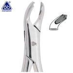 FORCEP #17. 6B INVENT