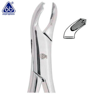 FORCEP #17. 6B INVENT