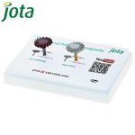 KIT PULIDO PROFESIONAL 1921. JOTA