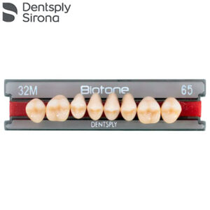 TABLILLA BIOTONE DE POSTERIORES SUP. DENTSPLY