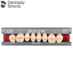 TABLILLA BIOTONE DE POSTERIORES SUP. DENTSPLY