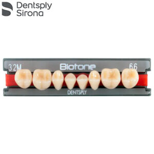 TABLILLA BIOTONE POSTERIORES INF. DENTSPLY